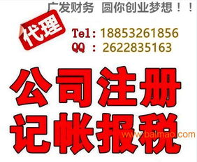 小公司代理記賬 選擇、服務廠家與價格解析